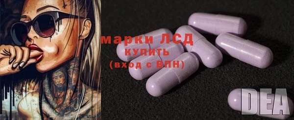 гашик Дмитриев