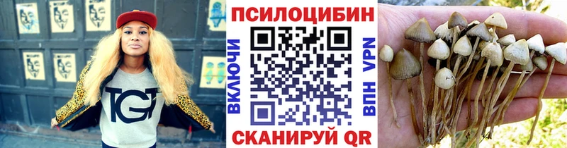 Галлюциногенные грибы Magic Shrooms  Купить закладки  Камешково 